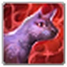 Cat's Recovery